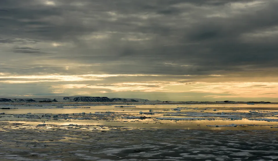 Golden arctic light over the pack ice of Bjørnsundet, Svalbard